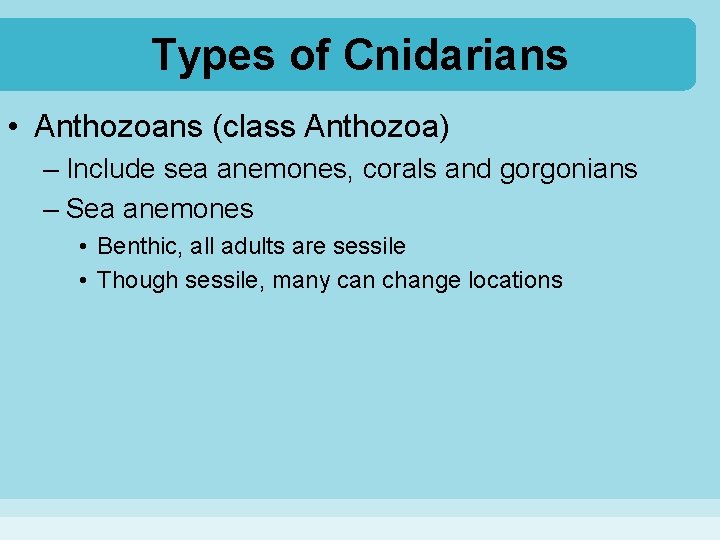 Types of Cnidarians • Anthozoans (class Anthozoa) – Include sea anemones, corals and gorgonians