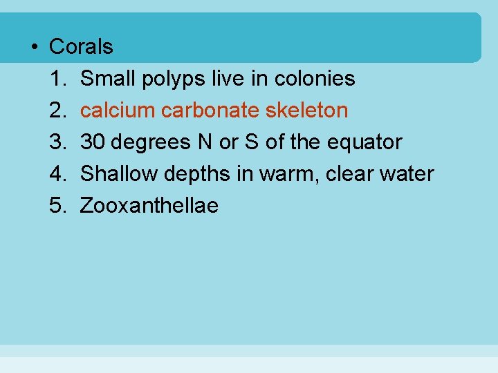  • Corals 1. Small polyps live in colonies 2. calcium carbonate skeleton 3.