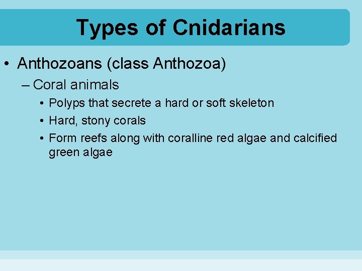 Types of Cnidarians • Anthozoans (class Anthozoa) – Coral animals • Polyps that secrete