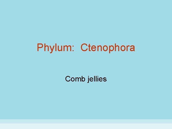 Phylum: Ctenophora Comb jellies 