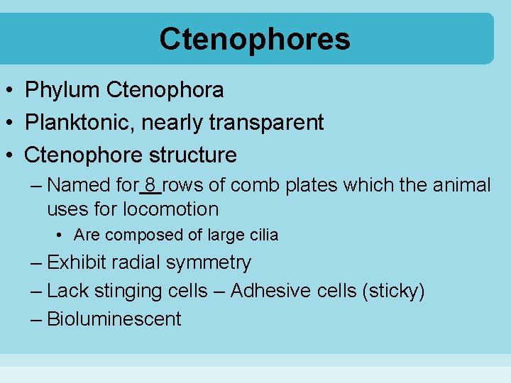 Ctenophores • Phylum Ctenophora • Planktonic, nearly transparent • Ctenophore structure – Named for