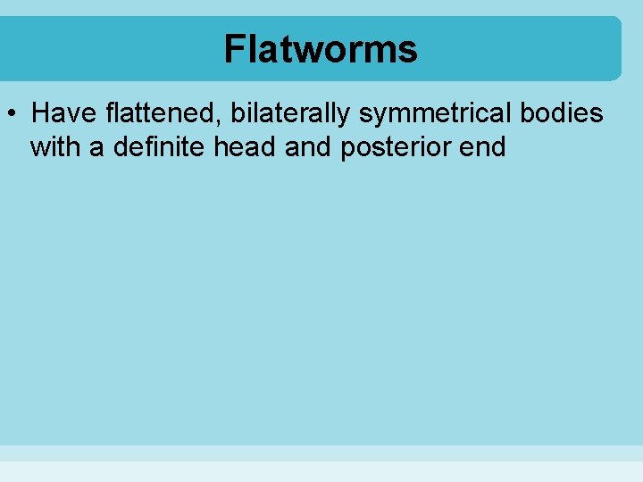 Flatworms • Have flattened, bilaterally symmetrical bodies with a definite head and posterior end