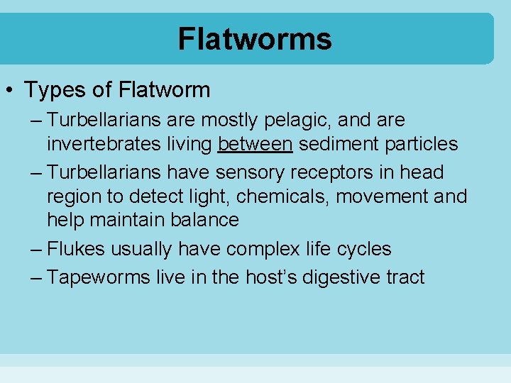 Flatworms • Types of Flatworm – Turbellarians are mostly pelagic, and are invertebrates living