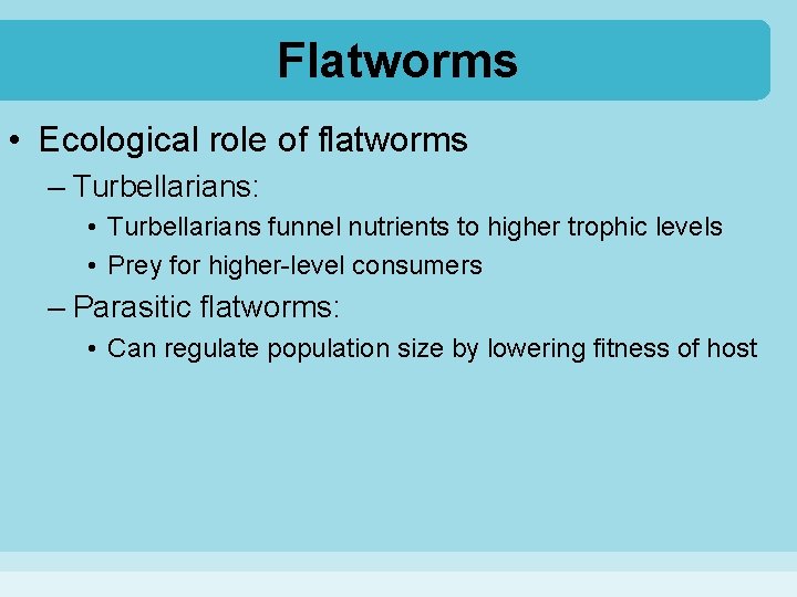 Flatworms • Ecological role of flatworms – Turbellarians: • Turbellarians funnel nutrients to higher
