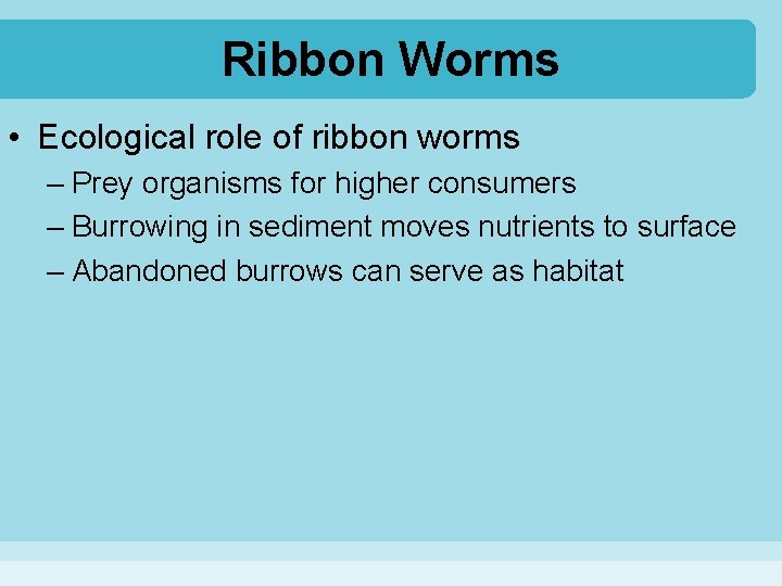 Ribbon Worms • Ecological role of ribbon worms – Prey organisms for higher consumers