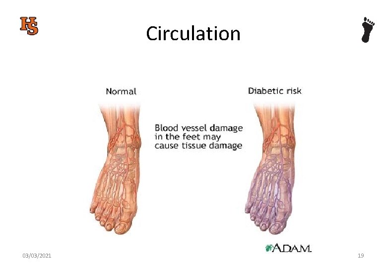 Circulation 03/03/2021 19 