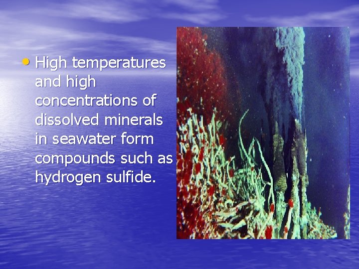  • High temperatures and high concentrations of dissolved minerals in seawater form compounds
