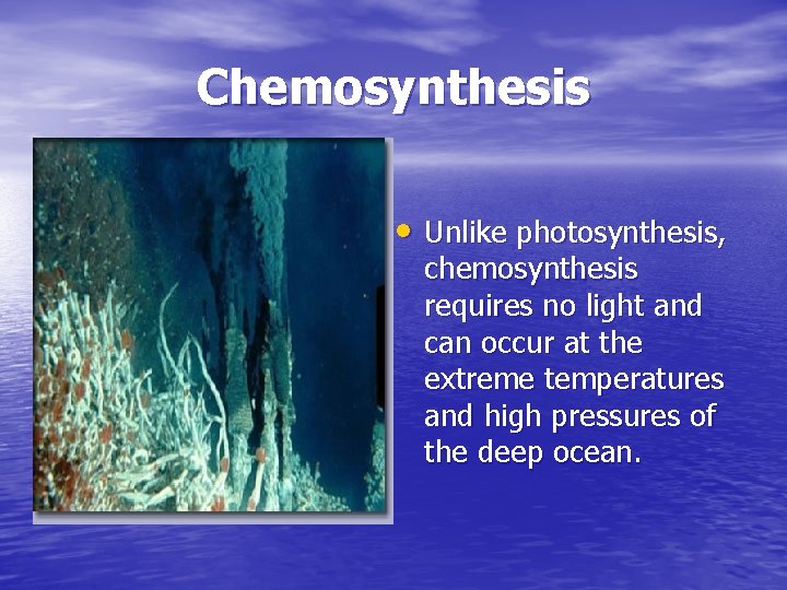 Chemosynthesis • Unlike photosynthesis, chemosynthesis requires no light and can occur at the extreme