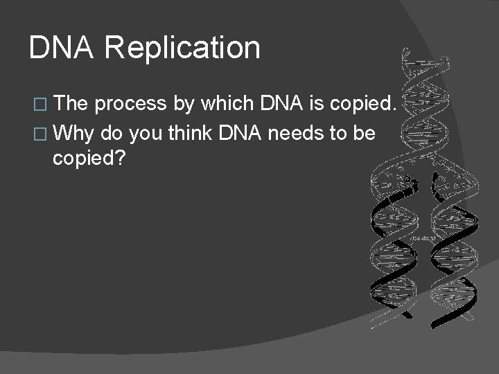 DNA Replication � The process by which DNA is copied. � Why do you