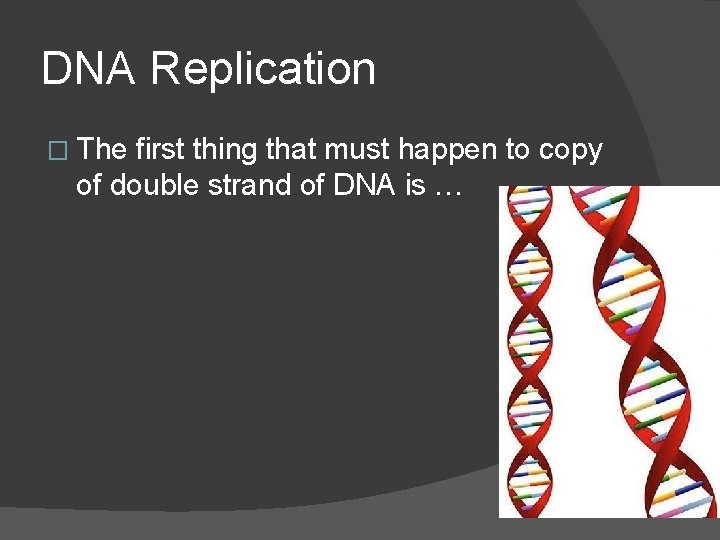 DNA Replication � The first thing that must happen to copy of double strand