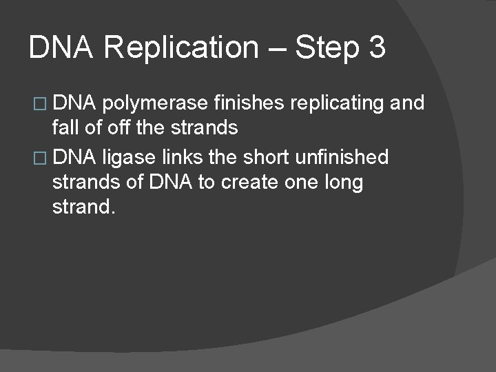 DNA Replication – Step 3 � DNA polymerase finishes replicating and fall of off