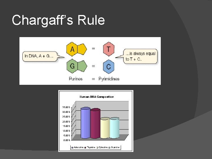 Chargaff’s Rule 
