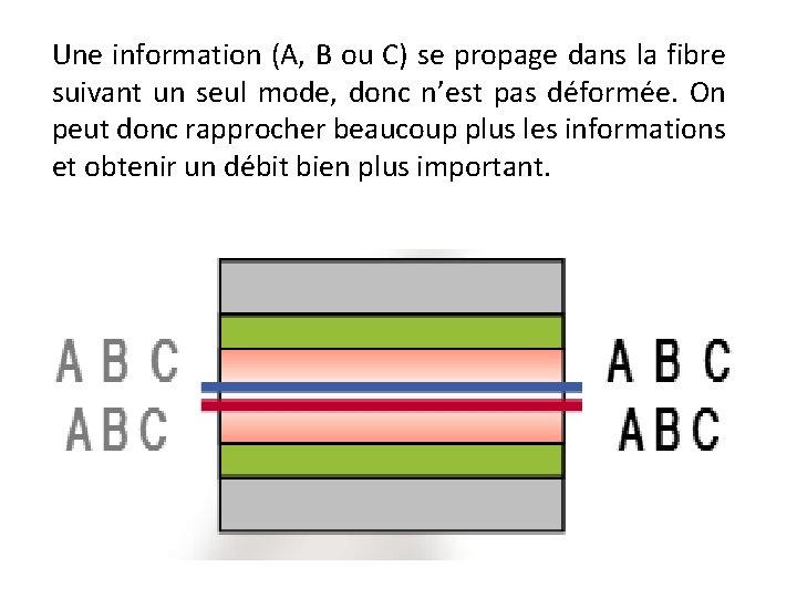 Une information (A, B ou C) se propage dans la fibre suivant un seul