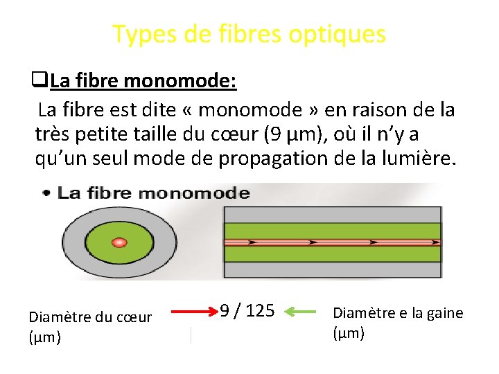 Types de fibres optiques q. La fibre monomode: La fibre est dite « monomode