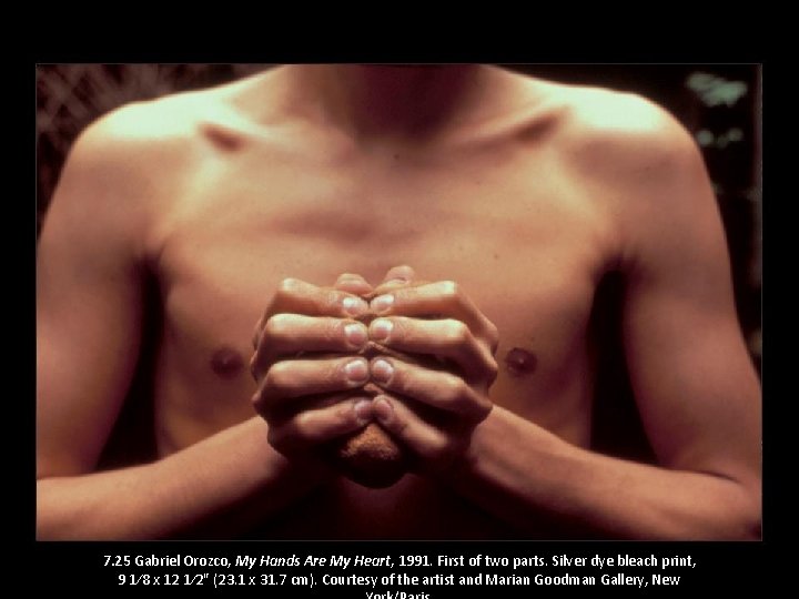 7. 25 Gabriel Orozco, My Hands Are My Heart, 1991. First of two parts.