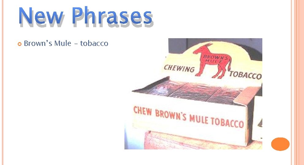 New Phrases Brown’s Mule - tobacco 