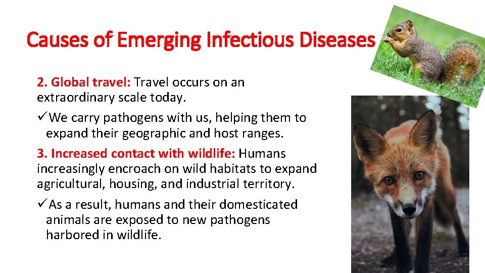 Causes of Emerging Infectious Diseases 2. Global travel: Travel occurs on an extraordinary scale