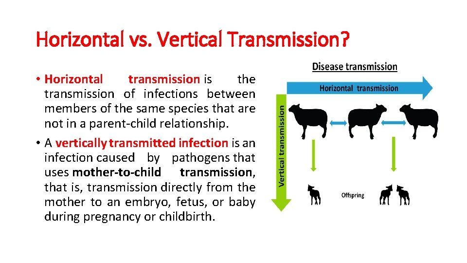 Horizontal vs. Vertical Transmission? • Horizontal transmission is the transmission of infections between members
