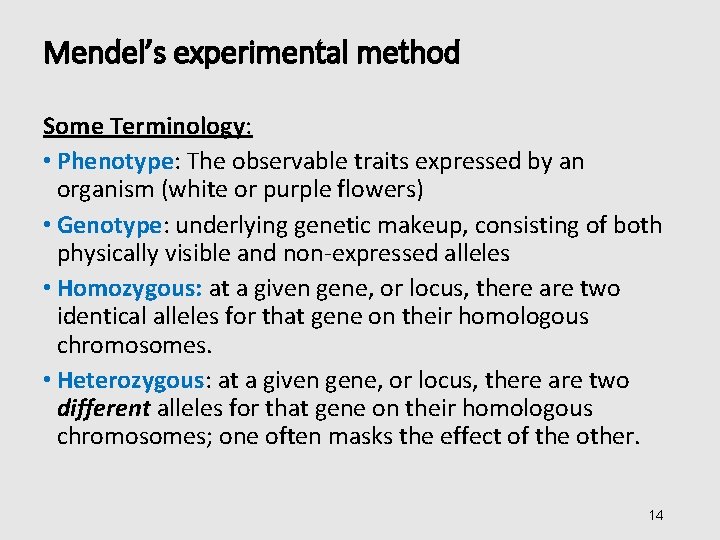 Mendel’s experimental method Some Terminology: • Phenotype: The observable traits expressed by an organism