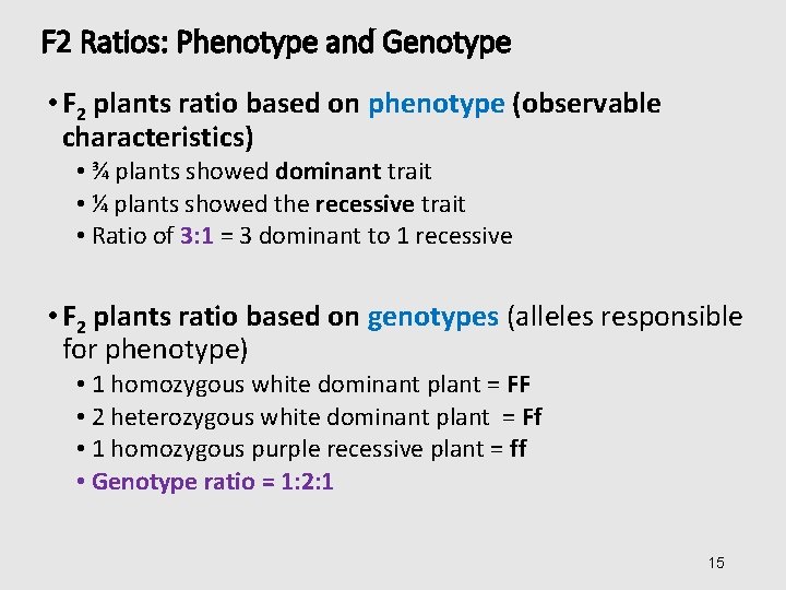 F 2 Ratios: Phenotype and Genotype • F 2 plants ratio based on phenotype