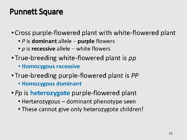 Punnett Square • Cross purple-flowered plant with white-flowered plant • P is dominant allele