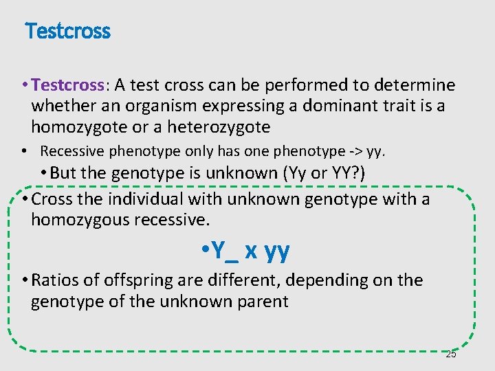 Testcross • Testcross: A test cross can be performed to determine whether an organism