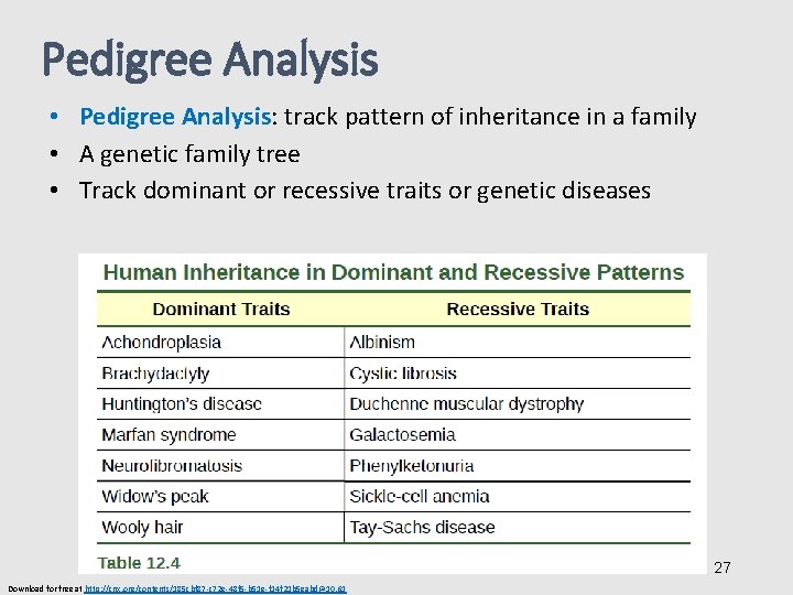 Pedigree Analysis • Pedigree Analysis: track pattern of inheritance in a family • A
