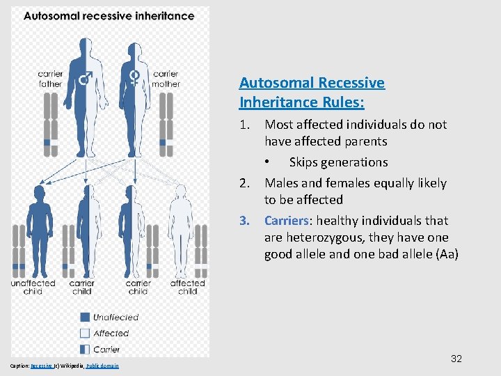 Autosomal Recessive Inheritance Rules: 1. Most affected individuals do not have affected parents •