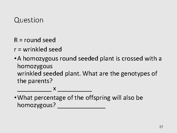 Question R = round seed r = wrinkled seed • A homozygous round seeded