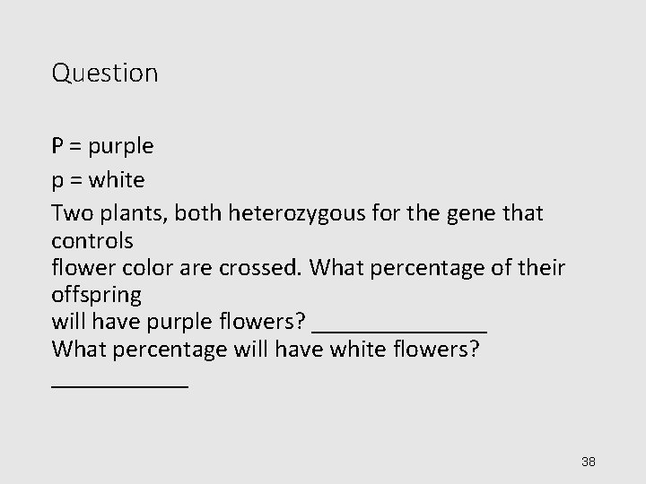 Question P = purple p = white Two plants, both heterozygous for the gene