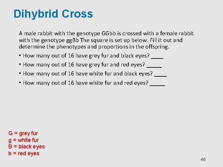 Dihybrid Cross A male rabbit with the genotype GGbb is crossed with a female