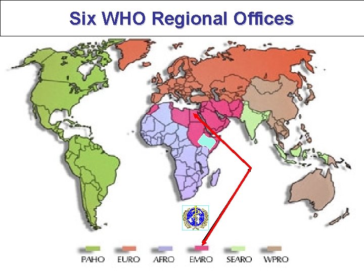 Six WHO Regional Offices 