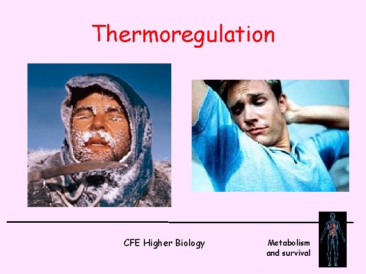 Thermoregulation CFE Higher Biology Metabolism and survival 