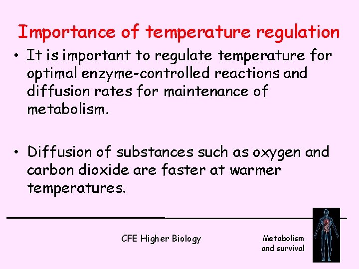 Importance of temperature regulation • It is important to regulate temperature for optimal enzyme-controlled