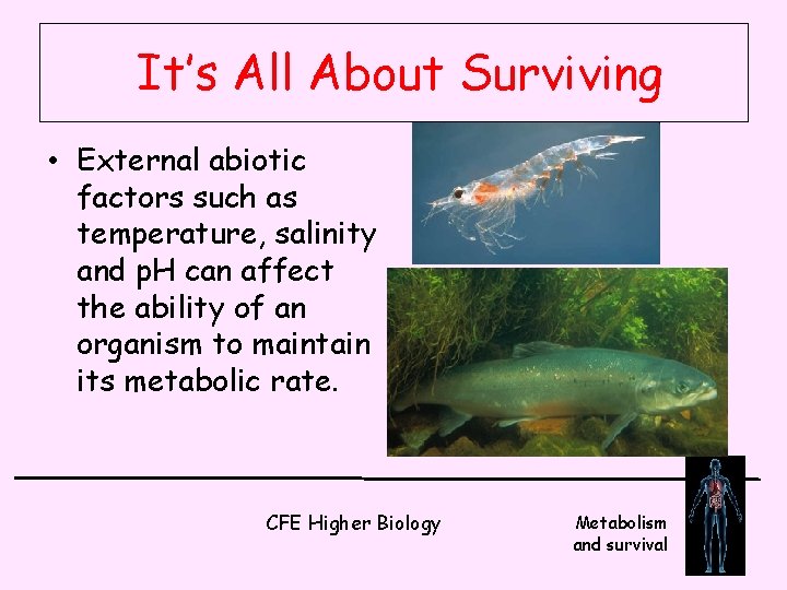 It’s All About Surviving • External abiotic factors such as temperature, salinity and p.