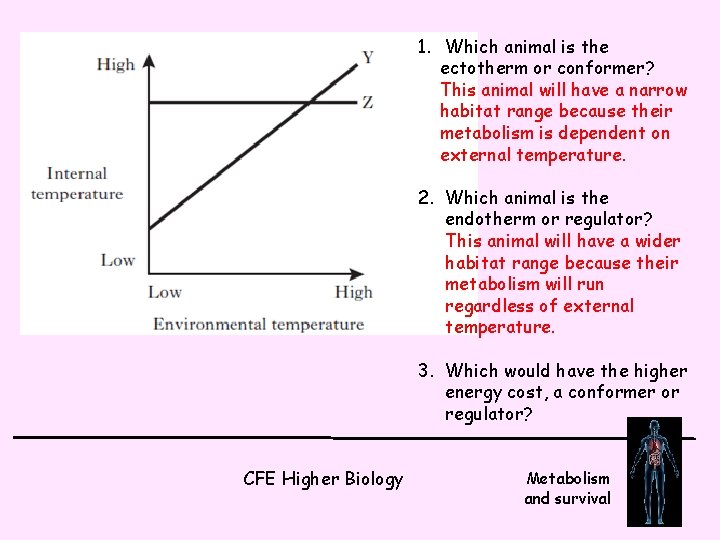 1. Which animal is the ectotherm or conformer? This animal will have a narrow