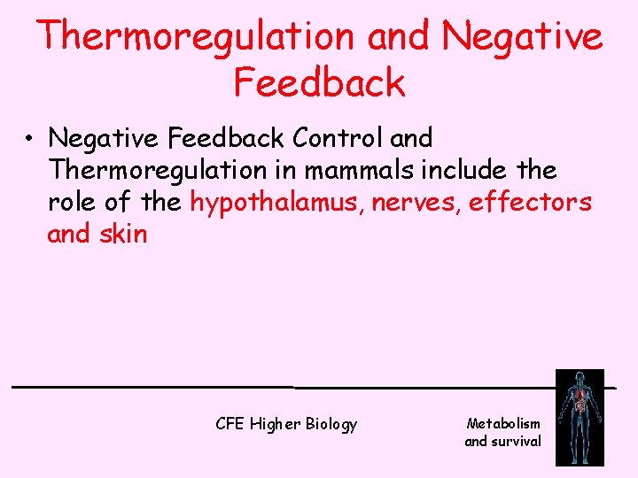 Thermoregulation and Negative Feedback • Negative Feedback Control and Thermoregulation in mammals include the