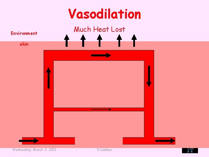 Vasodilation Environment Much Heat Lost skin CFE Higher Biology Wednesday, March 3, 2021 D