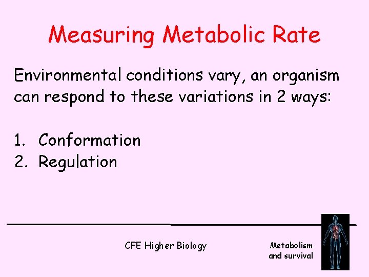 Measuring Metabolic Rate Environmental conditions vary, an organism can respond to these variations in