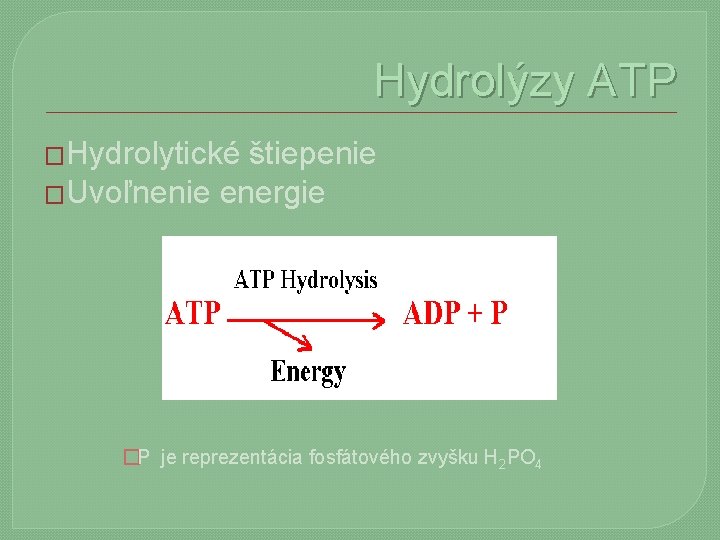 Hydrolýzy ATP �Hydrolytické štiepenie �Uvoľnenie energie �P je reprezentácia fosfátového zvyšku H 2 PO