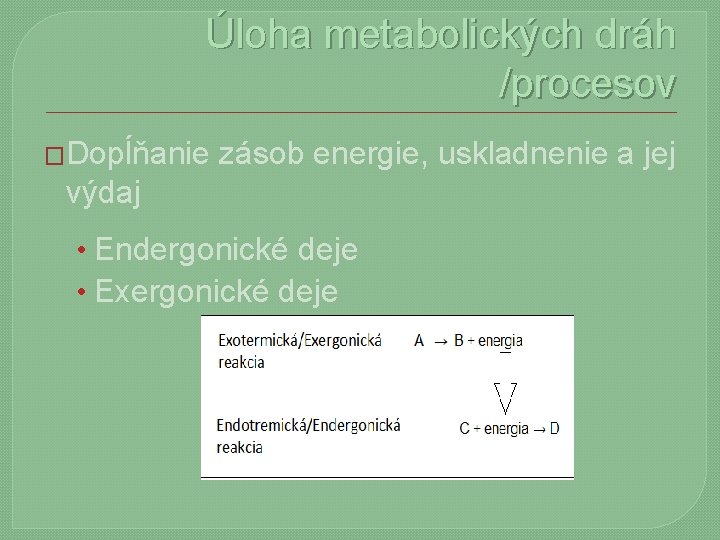 Úloha metabolických dráh /procesov �Dopĺňanie zásob energie, uskladnenie a jej výdaj • Endergonické deje