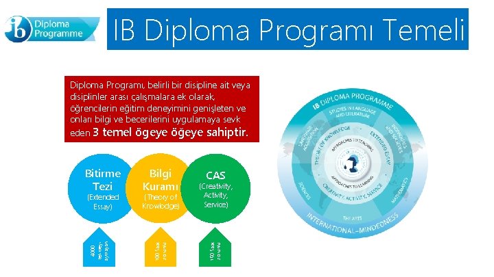 IB Diploma Programı Temeli Diploma Programı, belirli bir disipline ait veya disiplinler arası çalışmalara