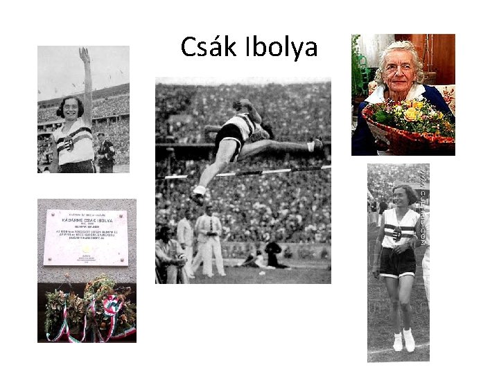 Csák Ibolya 