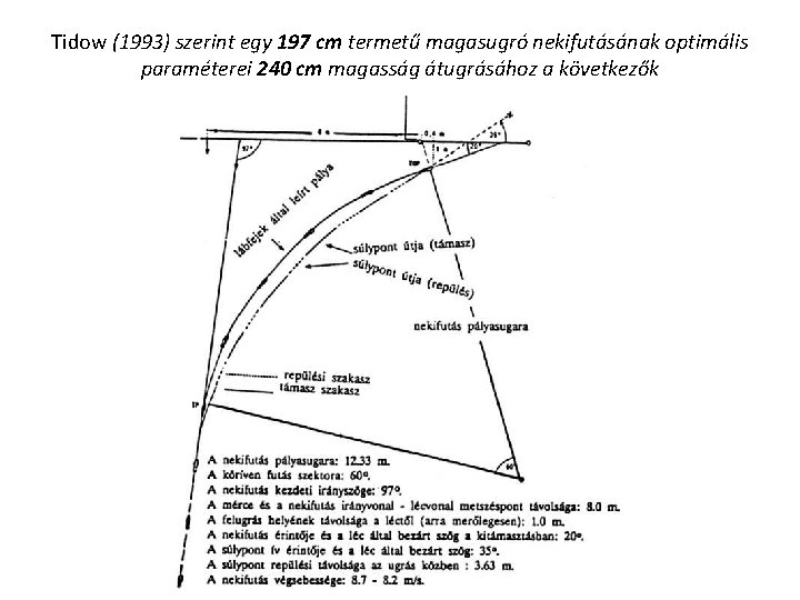 Tidow (1993) szerint egy 197 cm termetű magasugró nekifutásának optimális paraméterei 240 cm magasság