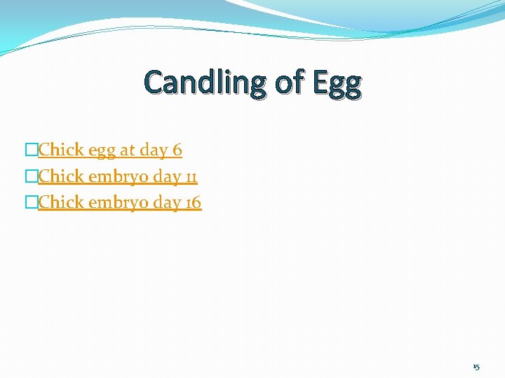 Candling of Egg �Chick egg at day 6 �Chick embryo day 11 �Chick embryo
