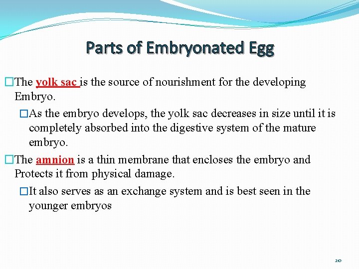 Parts of Embryonated Egg �The yolk sac is the source of nourishment for the