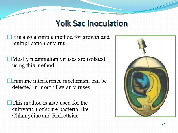 Yolk Sac Inoculation �It is also a simple method for growth and multiplication of