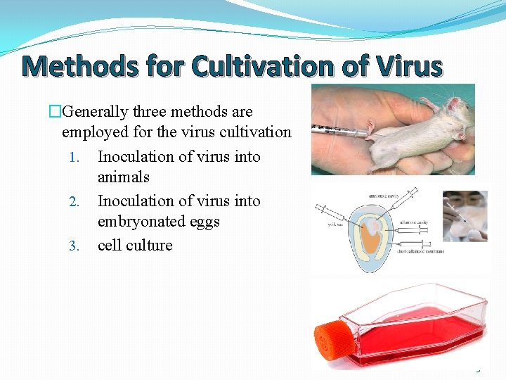 Methods for Cultivation of Virus �Generally three methods are employed for the virus cultivation