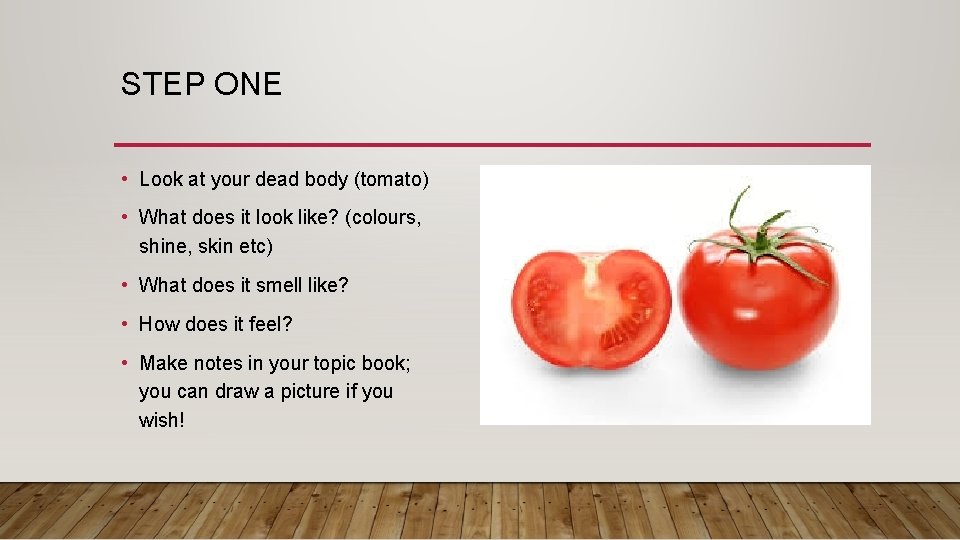 STEP ONE • Look at your dead body (tomato) • What does it look