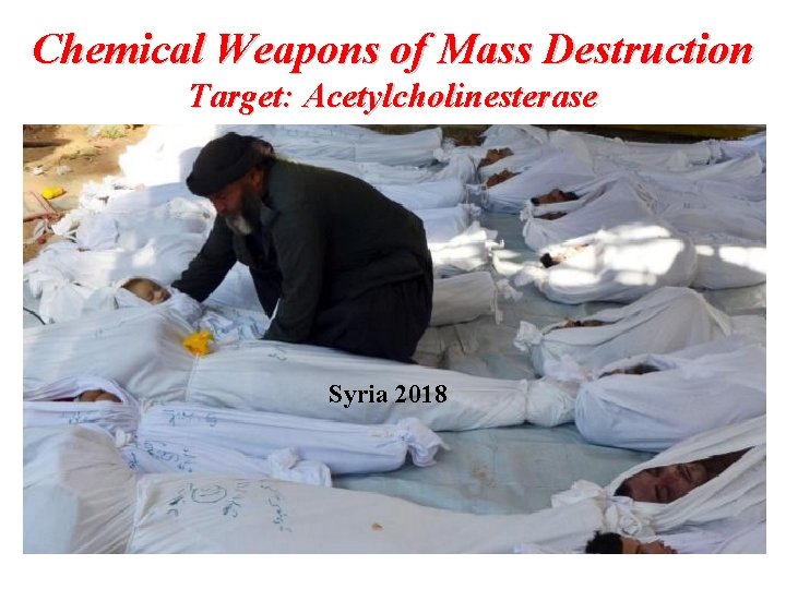 Chemical Weapons of Mass Destruction Target: Acetylcholinesterase Attacks: Japan (1995) Syria (2013 -2018) Syria